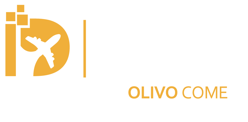 importador digital 100k olivo comex group